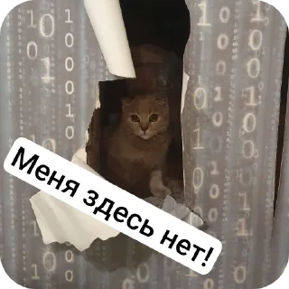Стикер Котобанда - 1