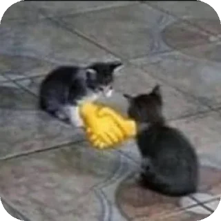 Sticker Коты япии!! - 9