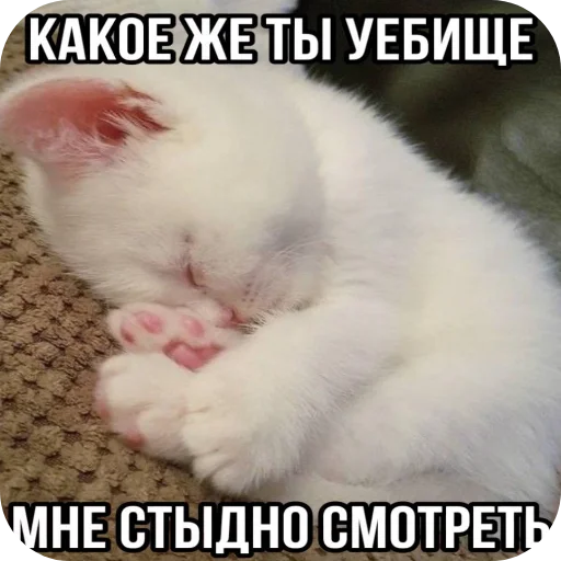 Стики от @cucumber765 - 