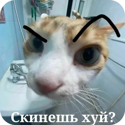 Стикер Kotyatki167 - 1