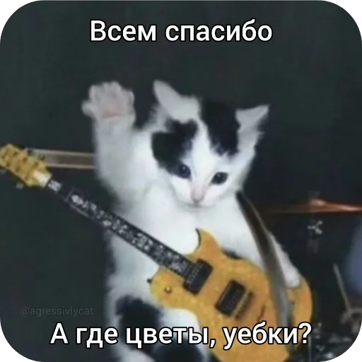 Стикер Kotyatki167 - 1