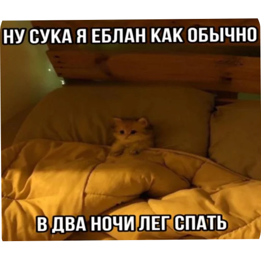 Стикер Kotyatki167 - 1