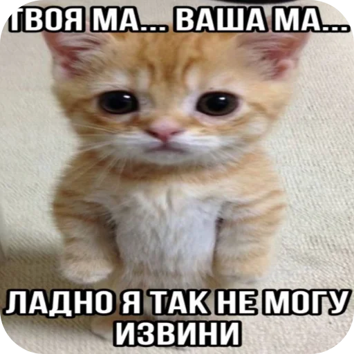 Стикер Kotyatki167 - 1