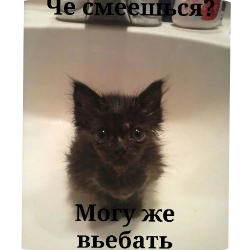 Стикер Kotyatki167 - 1