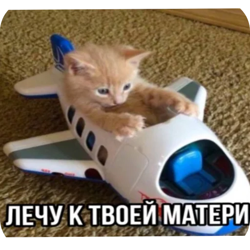 Стикер Kotyatki167 - 1