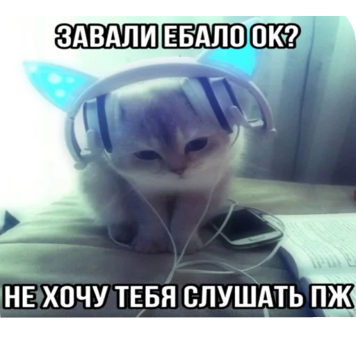 Стикер Kotyatki167 - 1