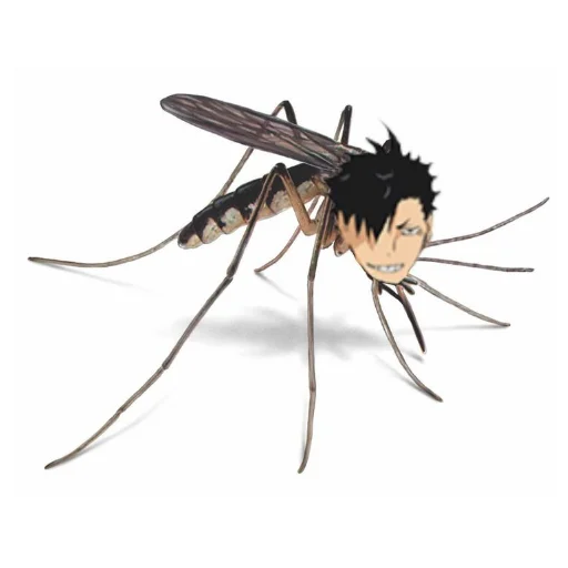 Крэнки сасалка - 