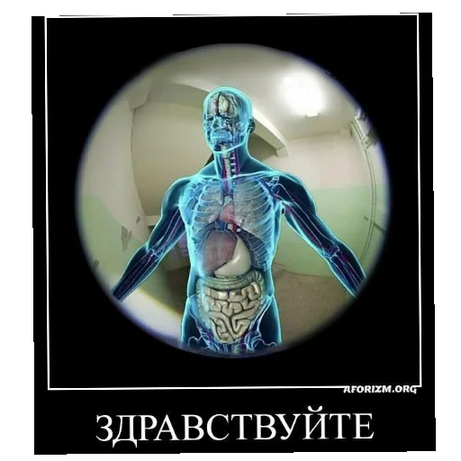 Sticker KrehnkiSasalka - 1