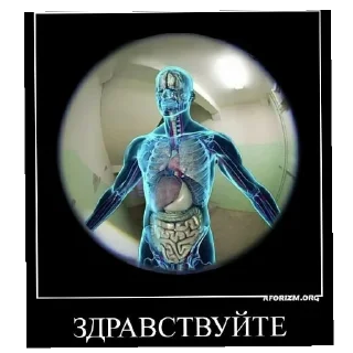 Sticker Крэнки сасалка - 3