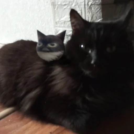 Sticker KrugChmonya_by_SozdaiStickeriBot - 1