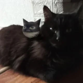 Стикер Круглый чмоня @Yarakamar @SozdaiStickeriBot - 5