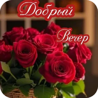 Sticker Куку - 0