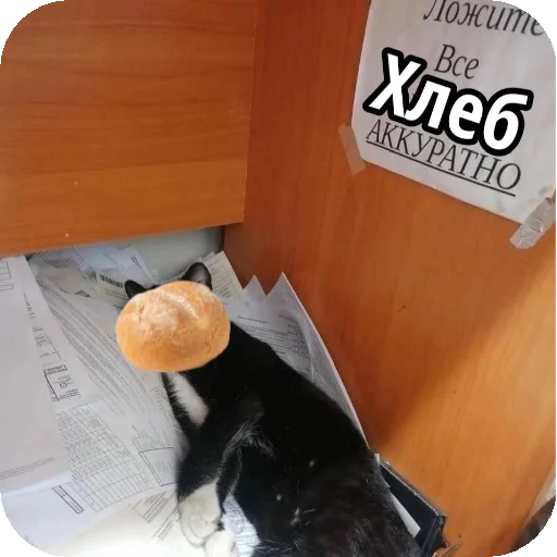 Sticker Kulish_by_TgEmodziBot - 1