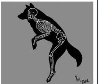 Sticker 🐾Квадробика 🐾 - 10