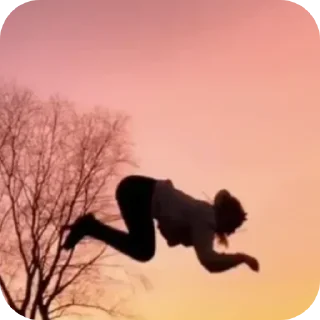 Sticker 🐾Квадробика 🐾 - 3