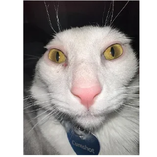 Стикер Лалалала - 4