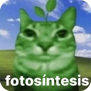 Стикер Лалалала - 1