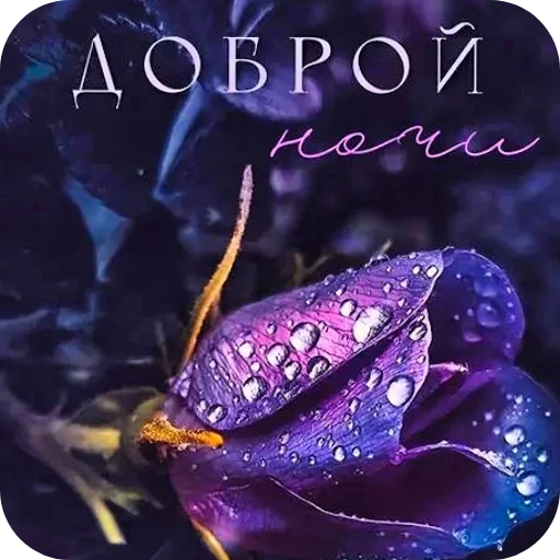 Стикер LapochkaAlesya02 - 1