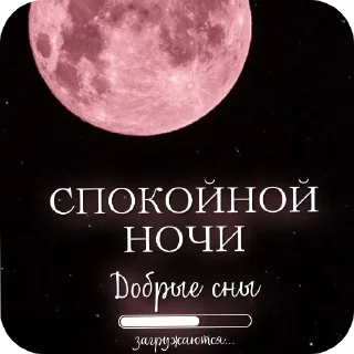 Sticker ОТКРЫТКИ: @krolichi_lapochki - 5
