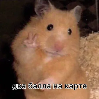 Стикер Лавка Чудес✨@LavkaChudoBot - 6