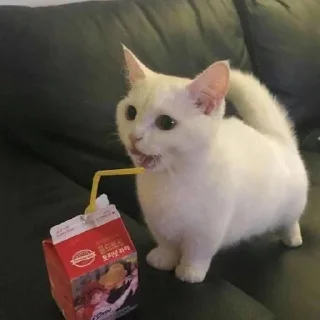 Стикер Лавка Чудес✨@LavkaChudoBot - 10