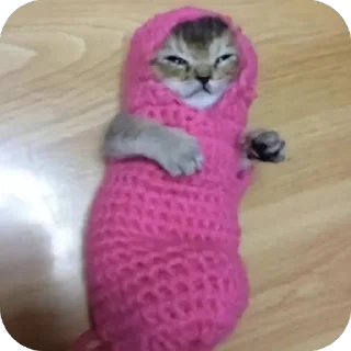 Sticker lavseh коты - 4