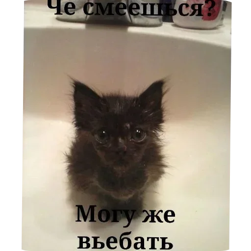 Стикер LdjSlwPAwv_by_Sticker363728bot - 1