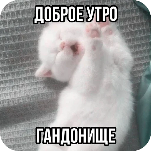 Стикер LdjSlwPAwv_by_Sticker363728bot - 1