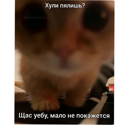 Стикер LdjSlwPAwv_by_Sticker363728bot - 1