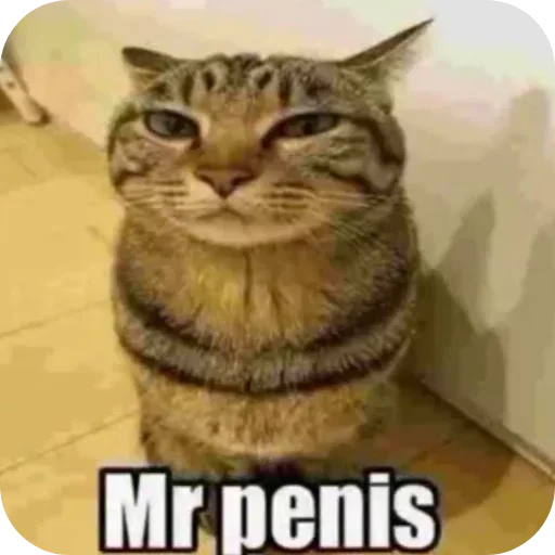 Стикер LdjSlwPAwv_by_Sticker363728bot - 1