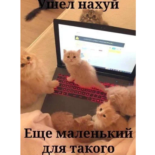 Sticker LdjSlwPAwv_by_Sticker363728bot - 1