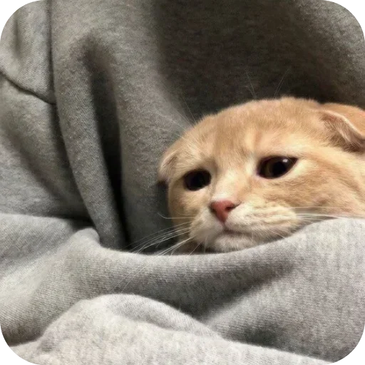 Sticker LdjSlwPAwv_by_Sticker363728bot - 1