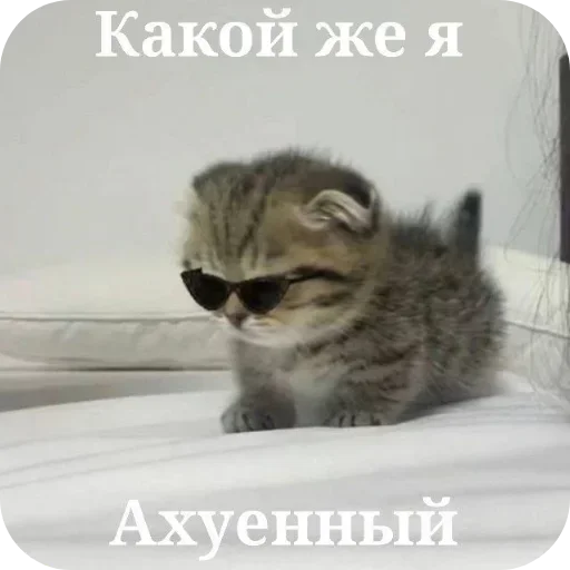 Sticker LdjSlwPAwv_by_Sticker363728bot - 1