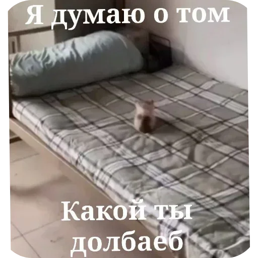 Sticker LdjSlwPAwv_by_Sticker363728bot - 1