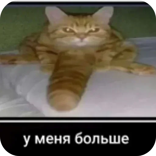 Sticker LdjSlwPAwv_by_Sticker363728bot - 1