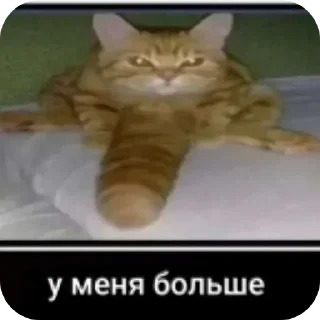 Sticker @stickeri_tg 💋<-- стикеры тут - 2