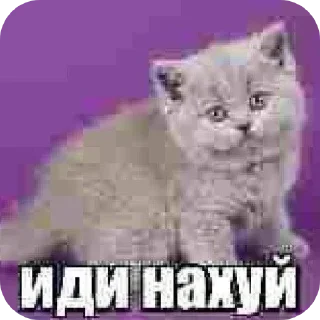 Sticker @stickeri_tg 💋<-- стикеры тут - 11