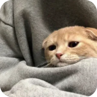 Sticker @stickeri_tg 💋<-- стикеры тут - 7