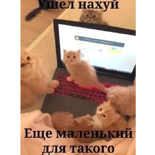 Sticker @stickeri_tg 💋<-- стикеры тут - 9