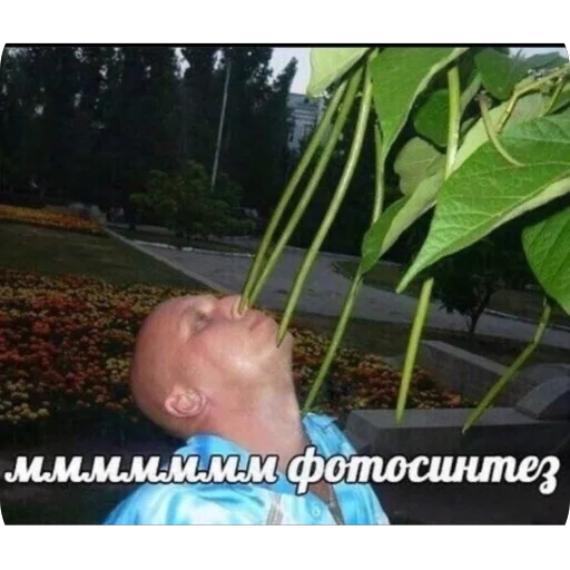 Sticker LechStickers_by_TgEmodziBot - 1