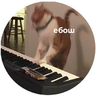 Sticker Guanciale - 3