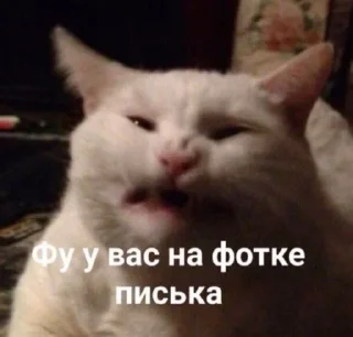 Sticker Guanciale - 1