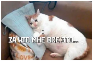 Sticker Guanciale - 4