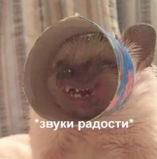 Sticker Guanciale - 10