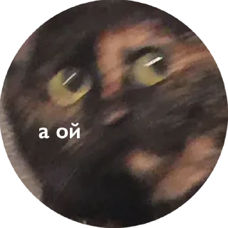 Sticker Guanciale - 9