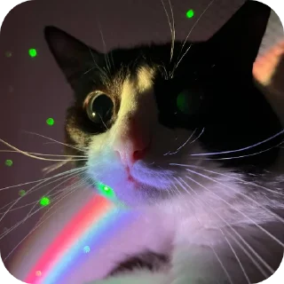 Sticker Lekhey НЕДОofficial - 1