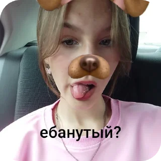 Sticker Леруа - 2