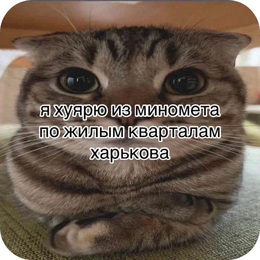 Стикер Levaki3 - 1