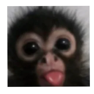 Sticker Лицо мадамы - 6