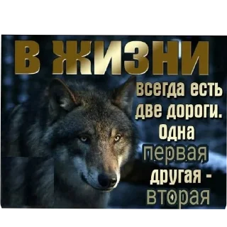 Sticker Лицо мадамы - 11